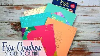 Erin Condren Sticker Book Haul