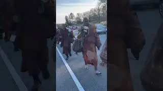 Monks walk through SC #monkshorts #monks #shortsviral