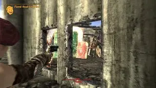 Fallout New Vegas - VATS Gunslinger vs Driver Nephi