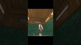 Star Stable Challenge #pferd #shorts #horse #haflinger #sso #starstableonline #starstable