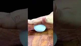 Eggsplosive🥚#shorts