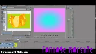 How to do arm and hair animation with Sony Vegas Pro