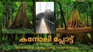 കനോലി പ്ലോട്ട് | ലോകത്തിലെ ഏറ്റവും വലിയ തേക്കിൻതോട്ടം | conolly's plot, a man made teak forest.