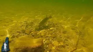 Thoughts on Bed Fishing for Bass