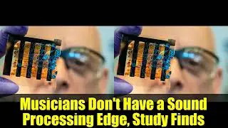 Musicians Don't Have a Sound Processing Edge, Study Finds