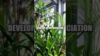 Foreign Language Mastery Through Virtual Plant Care