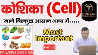 Cell Part 2