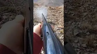 охота на кроликов в открытом поле#snowrabbit#greathunt#охота#rabbit#hunting