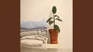 Successful Moods for Your Best Meditations