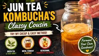 Jun Tea: Kombucha's Classy Cousin | Try My Cheap and Easy Method!