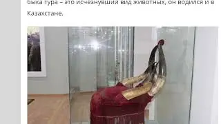 Magic Movie     Уникальное красное кресло казахского бая. / A unique red armchair of the Kazakh bai.