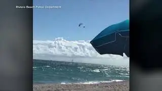 Lifeguards describe ocean rescue after paraglider falls 500 feet from the sky