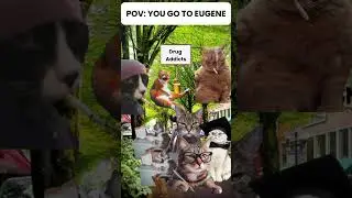 POV: you go to oregon#oregon #travel #geography #memes #cat #map #usa