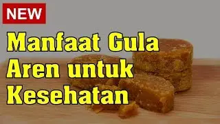 Manfaat Gula Aren untuk Kesehatan