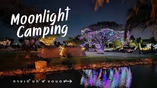 Moonlight Camping ชลบุรี