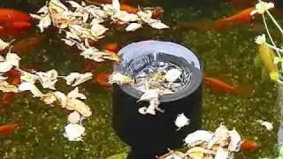 Oase AquaSkim - Oberfl&auml;chenskimmer f&uuml;r Gartenteiche - Teichfolien-24.de