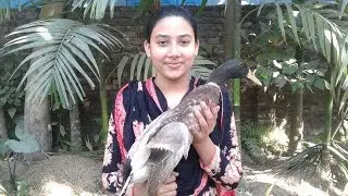 Duck Curry Recipe | Cooking Village Style | Prepared By Street Village Food