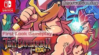 Nintendo Switch - Tiny Barbarian DX - Gameplay (NO COMMENTARY)