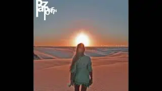 Electric Animals - Paz por fin