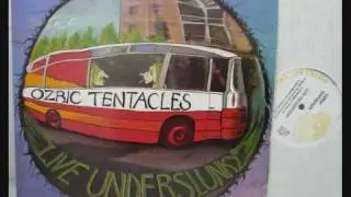 Ozric Tentacles - Sunscape (live 1991).wmv