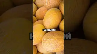 Что делает дыня с организмом?