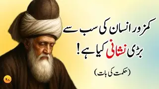The Greatest Sign of a Weak Human Being | Words of Wisdom 