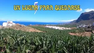 Cómo es el Festival Boreal 🇮🇨 Música Los Silos (Tenerife)