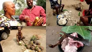 HOW THE VILLAGE ELDERS SHARED THE Marriage right, EXPLORING THE VILLAGE A DAY AFTER marriage