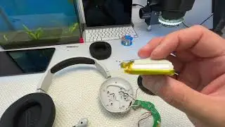 Bloody MR710 A4Tech. Замена аккумулятора.