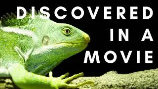 Species Discovered On Screen - Movies, Social Media, & Online Auctions