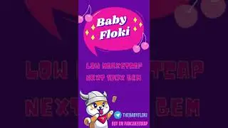 Baby Floki - #BabyFloki (100X Token) - Low MarketCap - #Bitcoin
