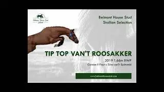 Tip Top van&rsquo;t Roosakker
