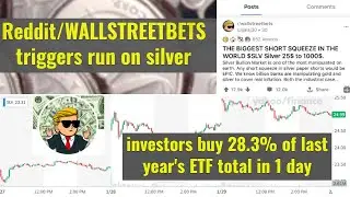 Reddit/WALLSTREETBETS triggers run on silver, investors buy 28.3% of last year's ETF total in 1 day