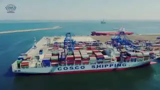 Cosco Shipping Danube M