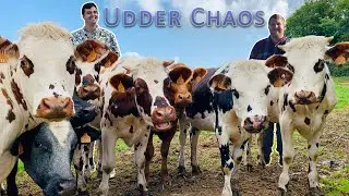 Udder Chaos | Don't Worry Beer Happy Episode 4