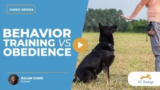 Behavior Training vs Obedience Dog Training: The Difference | KC Dawgz