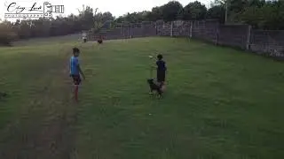 Campo Miner | Grass land of Hinigaran