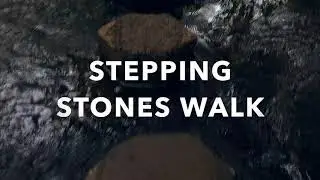 STEPPING STONES WALK, BOXHILL