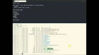 How to get an accurate row count for tables in a database (SQL Server  Oracle PostgresSQL MySQL)