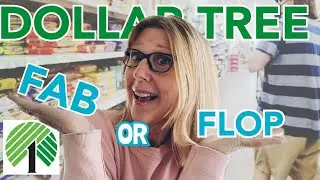 DOLLAR TREE HAUL | FAB OR FLOP ? WHAT YOU SHOULD AND SOMETIMES SHOULDN'T BUY AT THE DOLLAR TREE