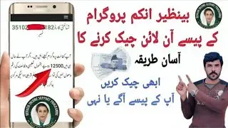 How To Check Benazir income Support Program Money | Benazir income Program key Paise Check Karne