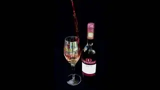 Wine Splash