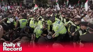 Palestine Action protest: Over 800 arrests made in London over the weekend