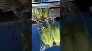 Fully automatic horizontal wrapping flow pack packaging machine fruit and vegetable packing machine