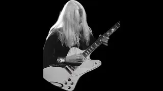 FAUX  Johnny Winter  KING BEE  JAM 5: Texas