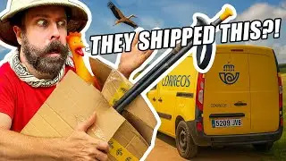 I Mailed Myself THIS From Spain… Big Mistake? | Shell Toucher #CaminoPackingList #Tips #Hacks