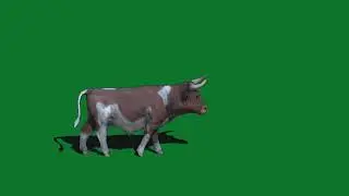 Cow Running Green screen || Green Bagground animal🐵🐔🐶🐷 cow