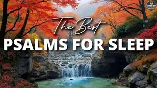 The Best Psalms to Sleep | Bible Reading | Psalms | Audio Bible