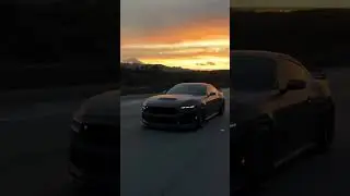 Black horse FM 💨#fordmustang #ytshorts   #youtubeshorts