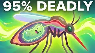 Why Google is Eradicating the Mosquito